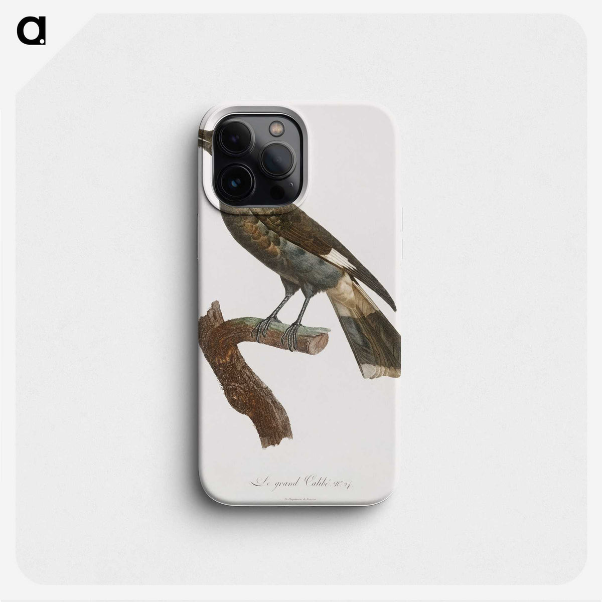 1-63_Des-Oiseaux-de-Paradis_phone