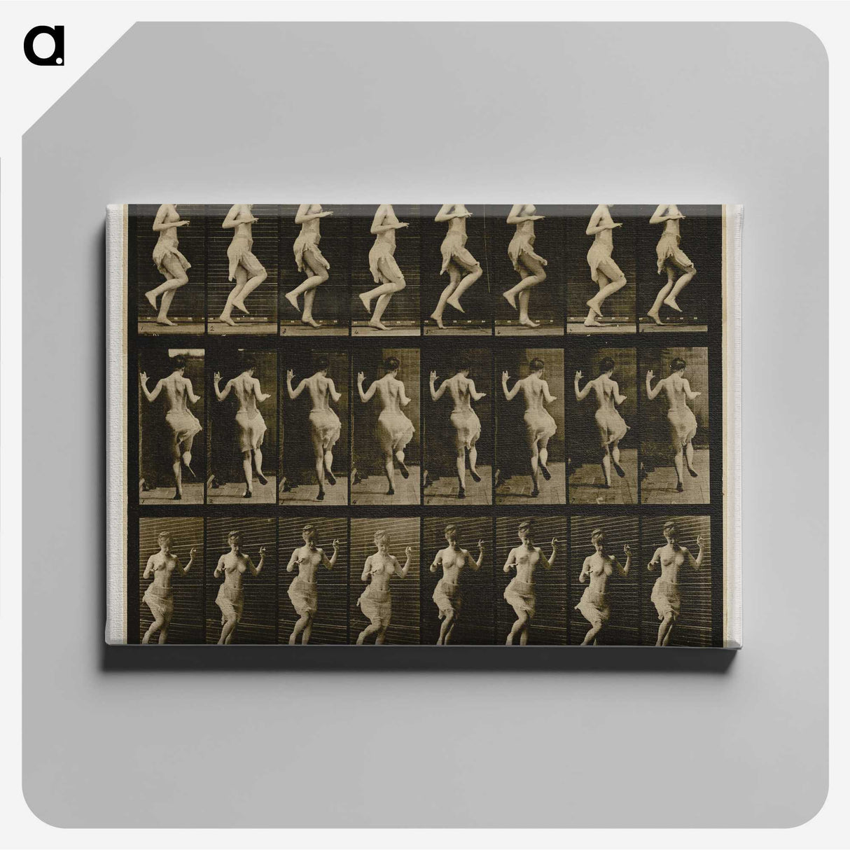 1-63_Eadweard-Muybridge_canvas