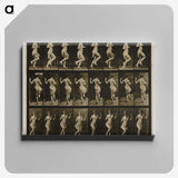1-63_Eadweard-Muybridge_canvas