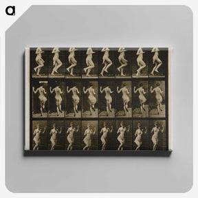 1-63_Eadweard-Muybridge_canvas