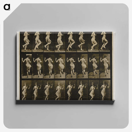 1-63_Eadweard-Muybridge_canvas