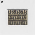1-63_Eadweard-Muybridge_memo