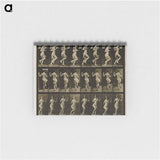 1-63_Eadweard-Muybridge_memo