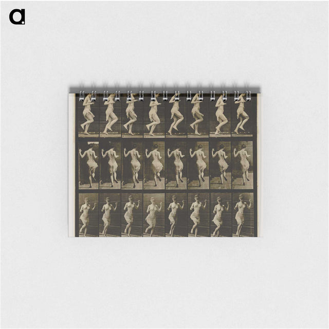 1-63_Eadweard-Muybridge_memo