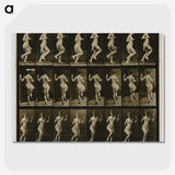 1-63_Eadweard-Muybridge_picture-crop