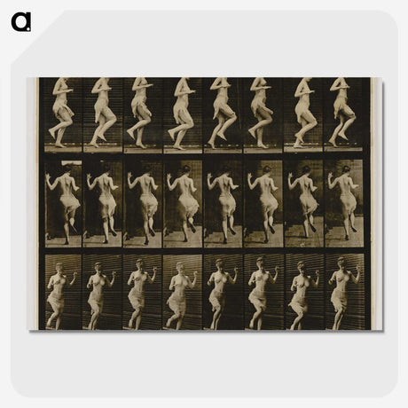 1-63_Eadweard-Muybridge_picture-crop