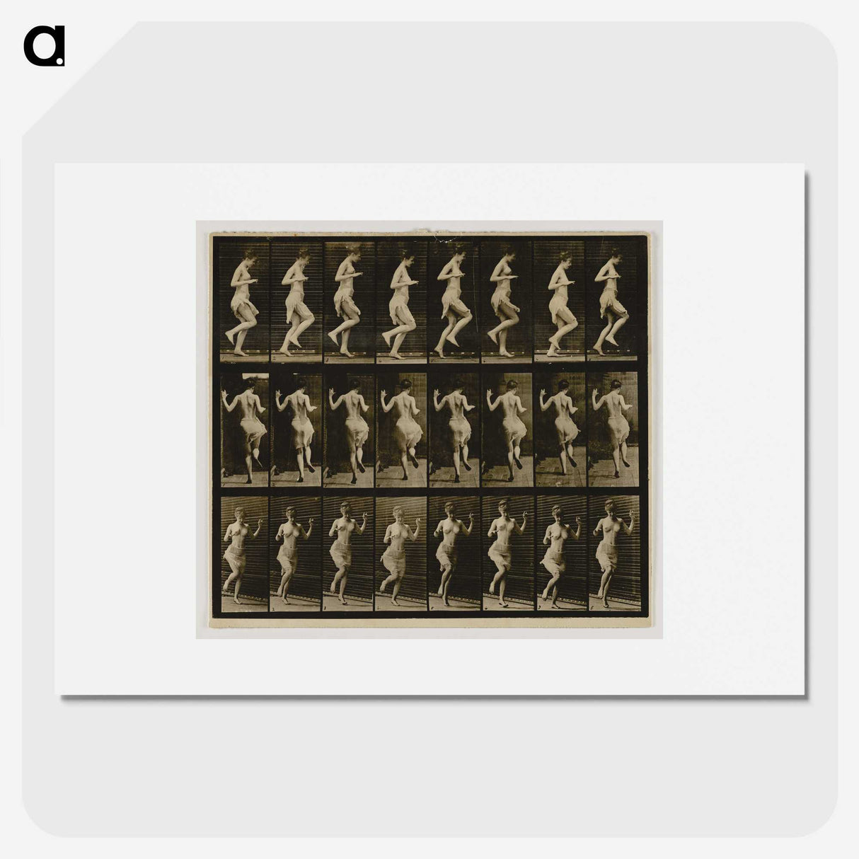 1-63_Eadweard-Muybridge_picture