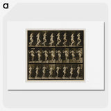 1-63_Eadweard-Muybridge_picture