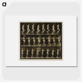 1-63_Eadweard-Muybridge_picture