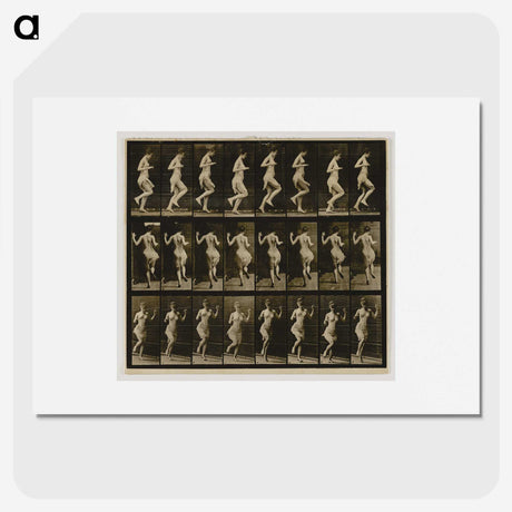 1-63_Eadweard-Muybridge_picture