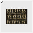 1-63_Eadweard-Muybridge_postcard