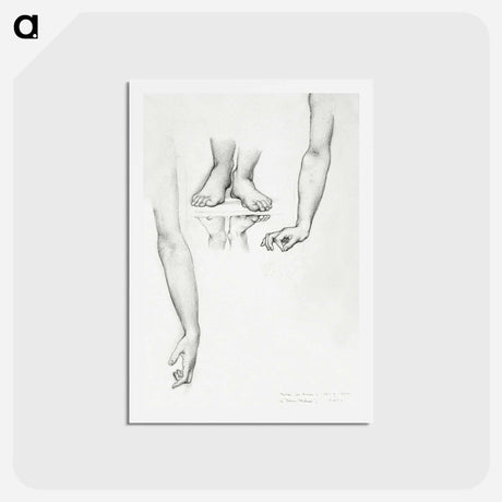 アートポストカード-Study for Mirror of Venus: Arms and Feet of Venus - エドワード バーン ジョーンズ Postcard.