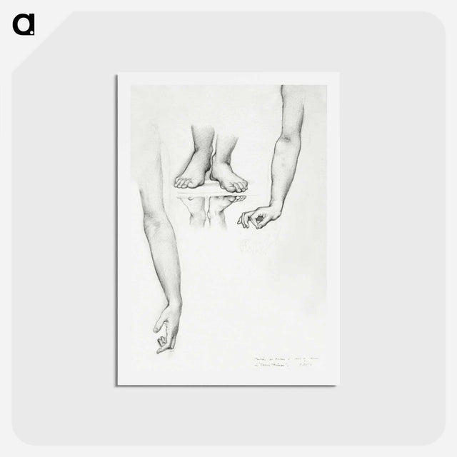 アートポストカード-Study for Mirror of Venus: Arms and Feet of Venus - エドワード バーン ジョーンズ Postcard.