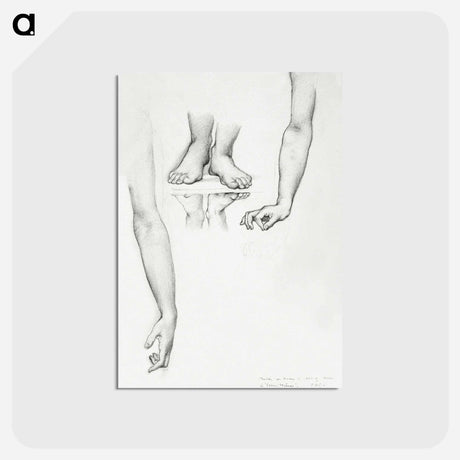 アートポストカード-Study for Mirror of Venus: Arms and Feet of Venus - エドワード バーン ジョーンズ Postcard.