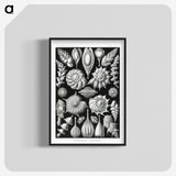 1-63_Ernst-Haeckel_blk-crop