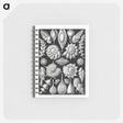 1-63_Ernst-Haeckel_memo