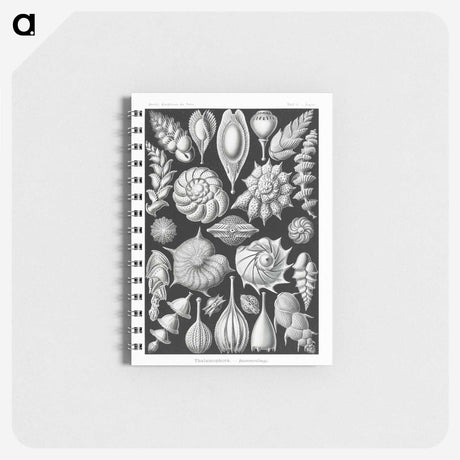 1-63_Ernst-Haeckel_memo