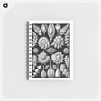 アートメモ帳-Thalamophora–Kammerlinge from Kunstformen der Natur - エルンスト ヘッケル Memo.