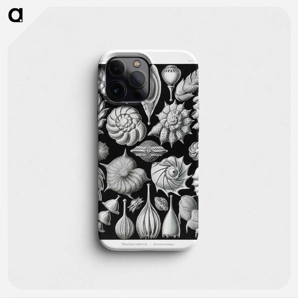 Thalamophora–Kammerlinge from Kunstformen der Natur - エルンスト ヘッケル Phone Case.