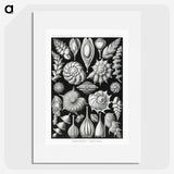 1-63_Ernst-Haeckel_picture