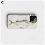 1-63_Frank-Edward-Clarke_phone