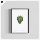 1-63_Histoire-des-Plantes-Grasses_blk-crop