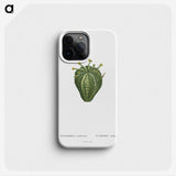 1-63_Histoire-des-Plantes-Grasses_phone
