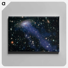 アートパネル-Runaway Galaxy
 - ハッブル画像 Canvas.