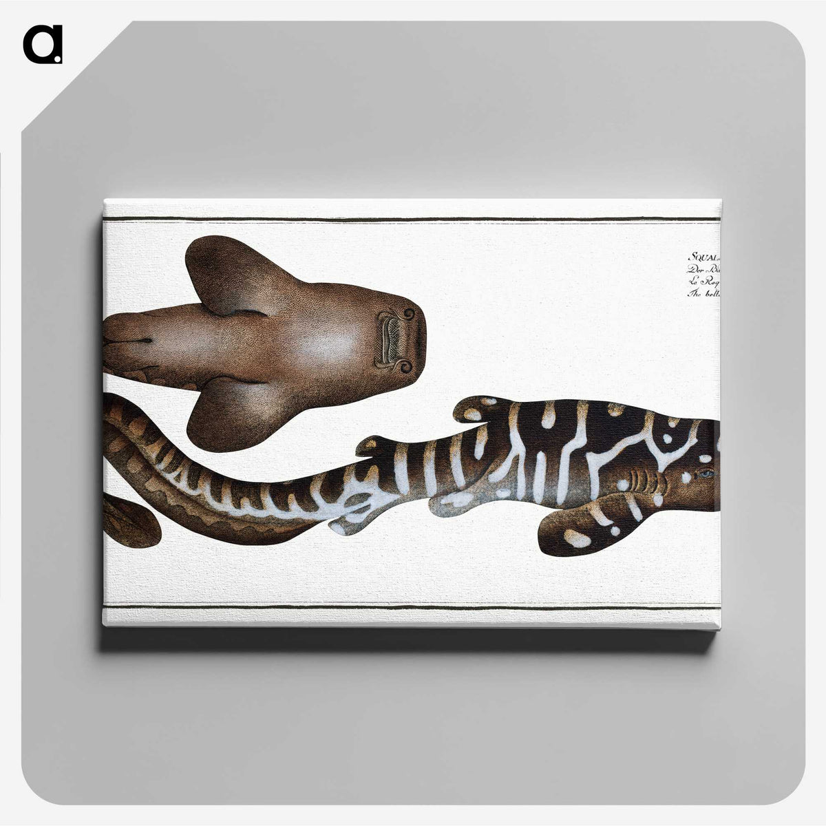 1-63_Ichtyologie-ou-Histoire-naturelle_canvas