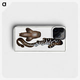 1-63_Ichtyologie-ou-Histoire-naturelle_phone