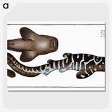 1-63_Ichtyologie-ou-Histoire-naturelle_picture-crop