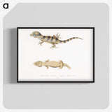 1-63_Indian-Zoology_blk-crop