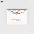 1-63_Indian-Zoology_memo