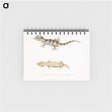 1-63_Indian-Zoology_memo