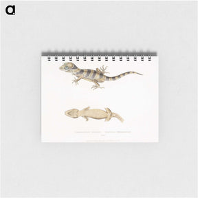 1-63_Indian-Zoology_memo