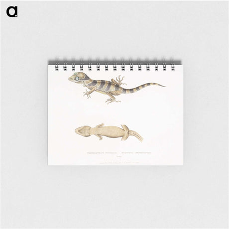 1-63_Indian-Zoology_memo