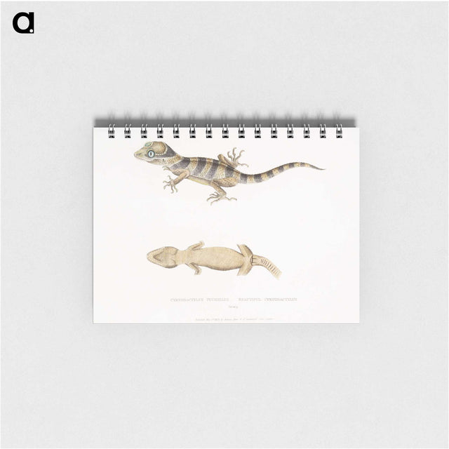 1-63_Indian-Zoology_memo