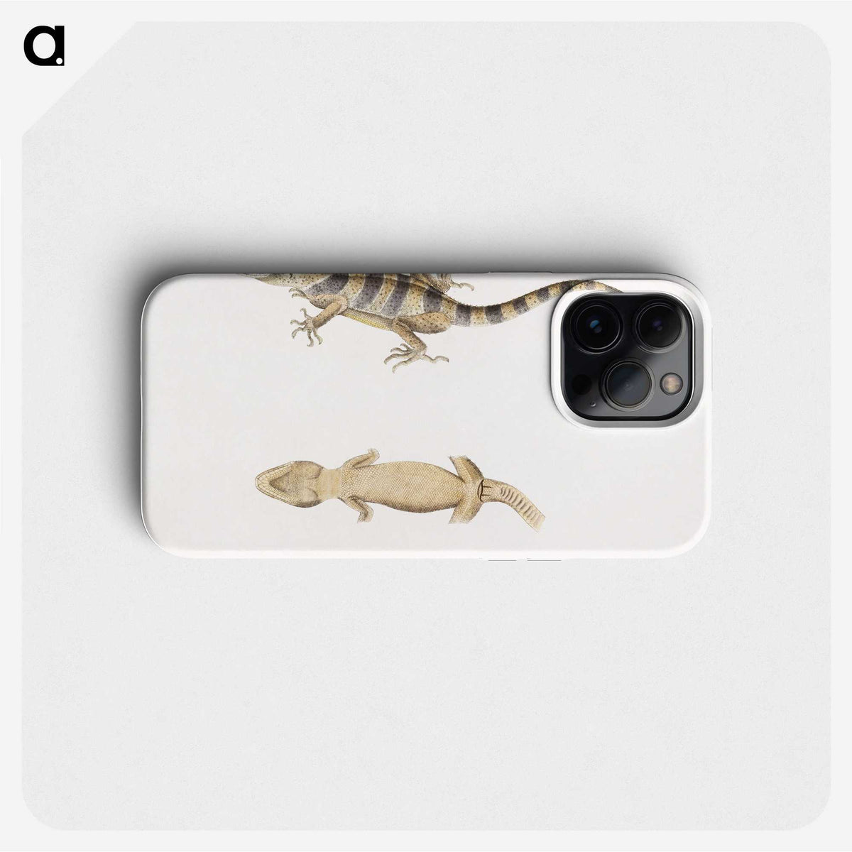 1-63_Indian-Zoology_phone