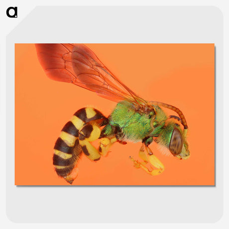 1-63_Insects-Unlocked-Project_picture-crop