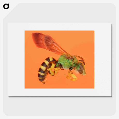 1-63_Insects-Unlocked-Project_picture