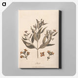 1-63_James-Heath_canvas