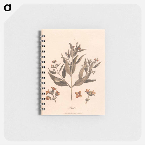 Rack
 - ジェームス ヒース Memo.