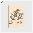 1-63_James-Heath_postcard