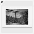 1-63_James-Walter-Chapman-Taylor_picture