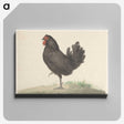 1-63_Jean-Bernard_canvas