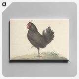 1-63_Jean-Bernard_canvas