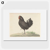 1-63_Jean-Bernard_picture