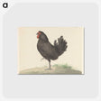 1-63_Jean-Bernard_postcard