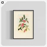 1-63_John-Gould_blk-crop