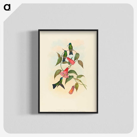 1-63_John-Gould_blk-crop